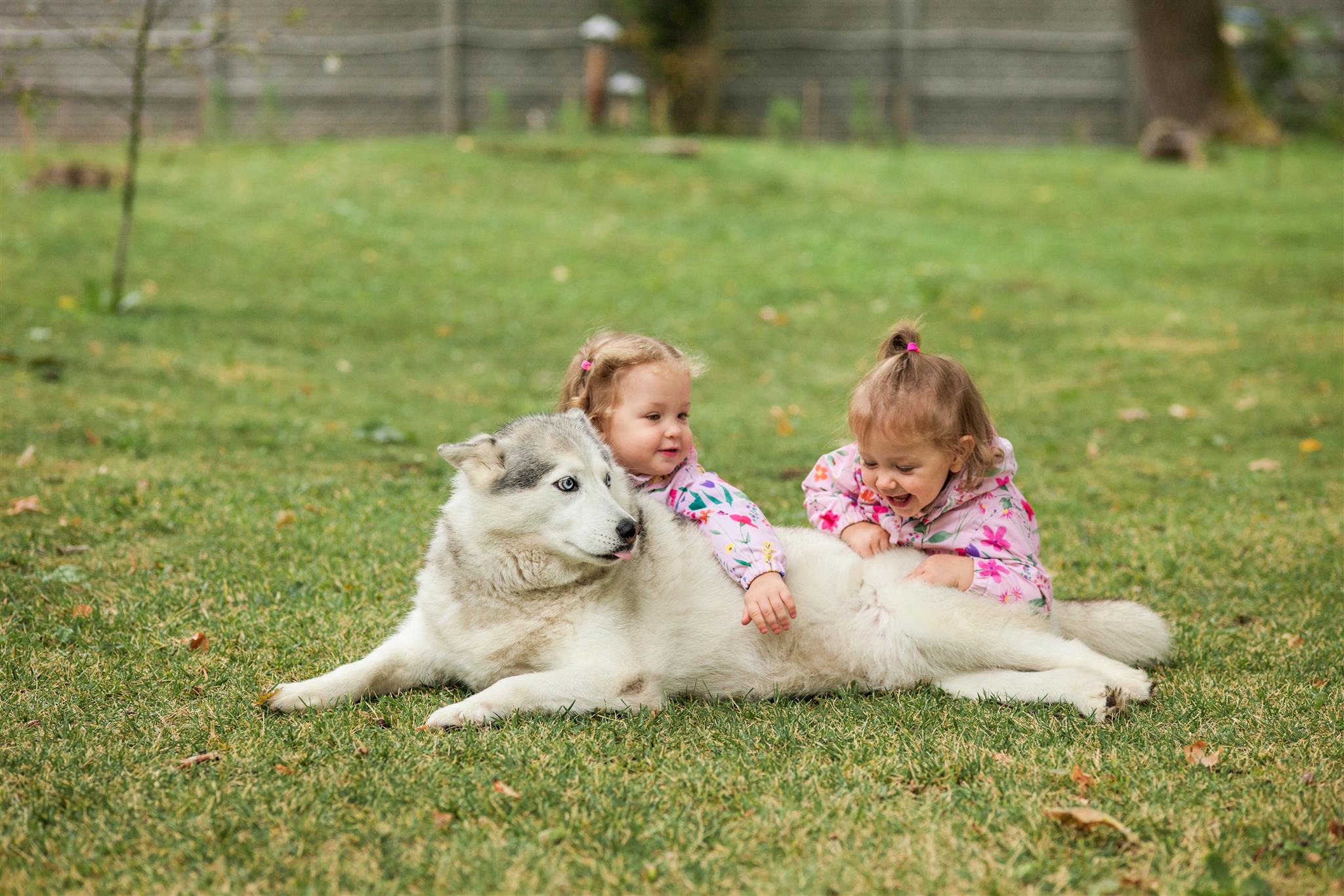 Crianças e animais de estimação