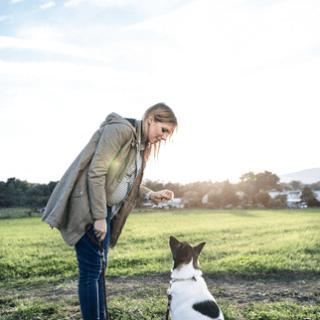 Vou ser mamãe: e meu pet? Como fica?